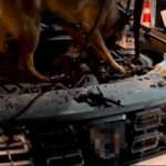 Çanakkale’de uyuşturucu operasyonunda 3 şüpheli tutuklandı