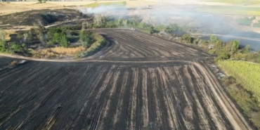 Tekirdağ’da çıkan yangında bin 500 dekarlık tarım arazisi zarar gördü