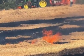 Hayrabolu’da 7 dönüm buğday ekili alan kül oldu