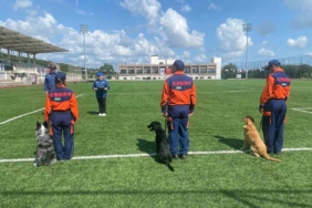 9 ülkeden 27 arama kurtarma köpeği İstanbul’daki şampiyonada yarıştı