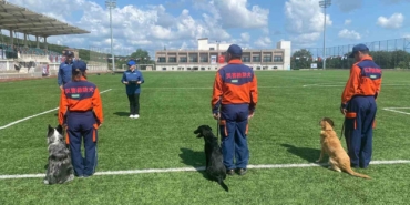 9 ülkeden 27 arama kurtarma köpeği İstanbul’daki şampiyonada yarıştı