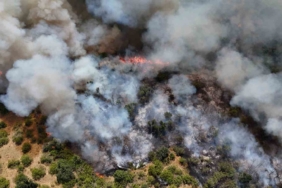 Edirne’de orman yangını