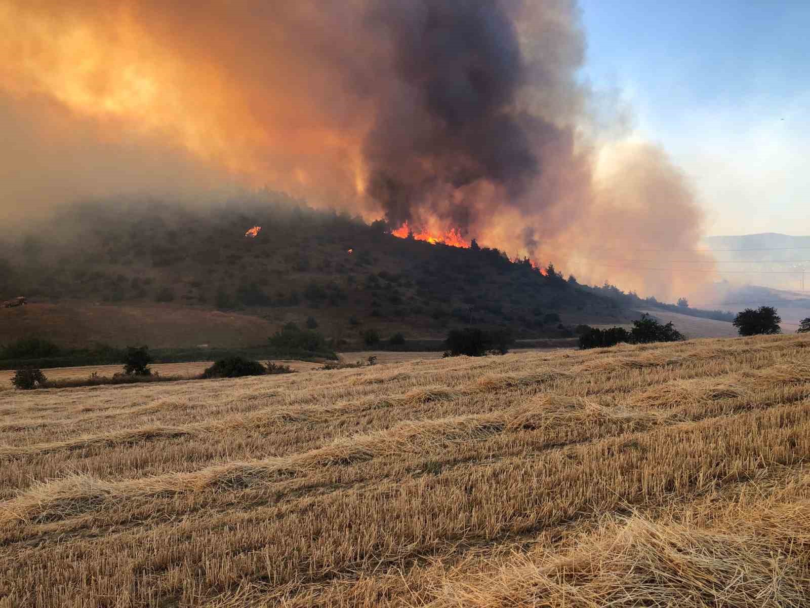 Bilecik’teki yangın kontrol altına alındı: 50 hektar alan zarar gördü