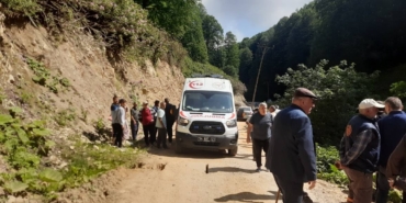 Kontrolden çıkan pat pat, dereye devrildi: 2 yaralı
