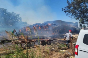 Saman alevi 2 kamyon ile 4 römorku yaktı