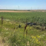 Direksiyon hakimiyetini kaybeden sürücü tarlaya uçtu