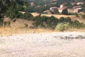 Kepsut’ta orman yangını başladı