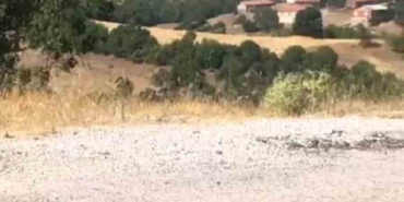 Kepsut’ta orman yangını başladı