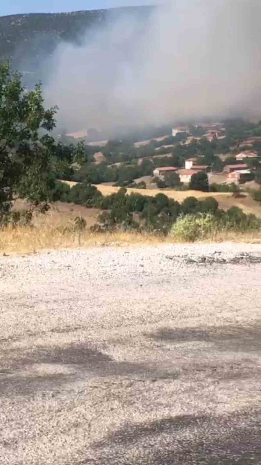 Kepsut’ta orman yangını başladı