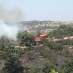 Kırklareli’nde ceviz bahçesi ve orman alanında yangın