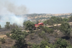 Kırklareli’nde ceviz bahçesi ve orman alanında yangın