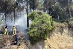 Gemlik’te çamlık alanda çıkan yangın kısa sürede söndürüldü