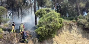 Gemlik’te çamlık alanda çıkan yangın kısa sürede söndürüldü