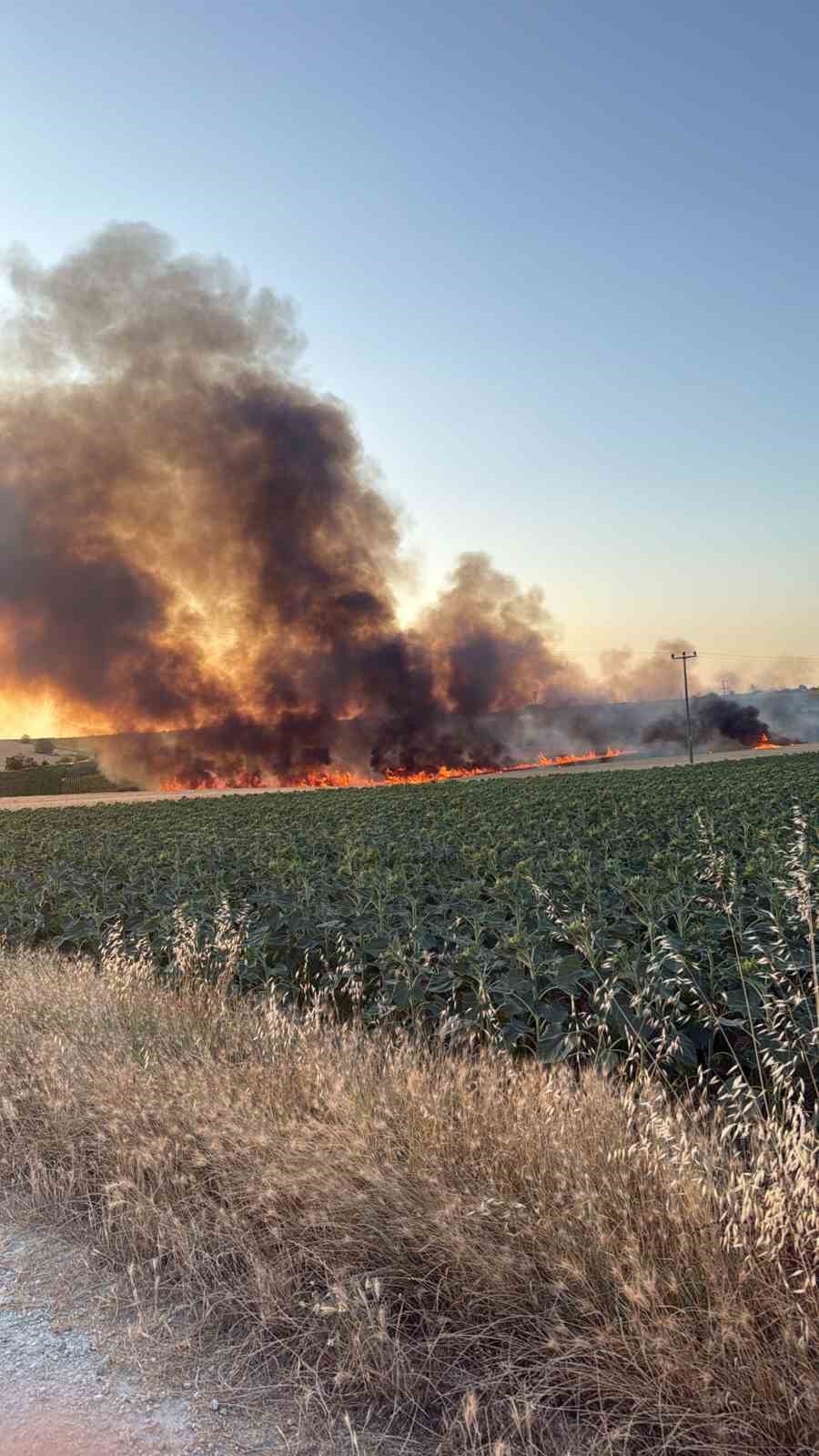 Lüleburgaz’da buğday tarlasında yangın
