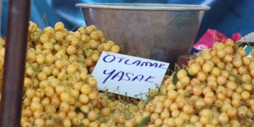 Kiraz Festivali’nde tezgahlardaki ’otlamak yasaktır’ yazısı tepki çekti