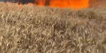 Bursa’da buğday tarlası alev alev yandı