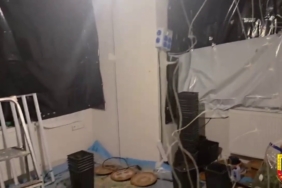 Uyuşturucu serasına çevrilen eve jandarma baskını