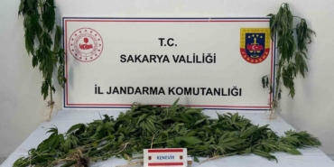 Jandarma uyuşturucuya geçit vermiyor: 3 tutuklama