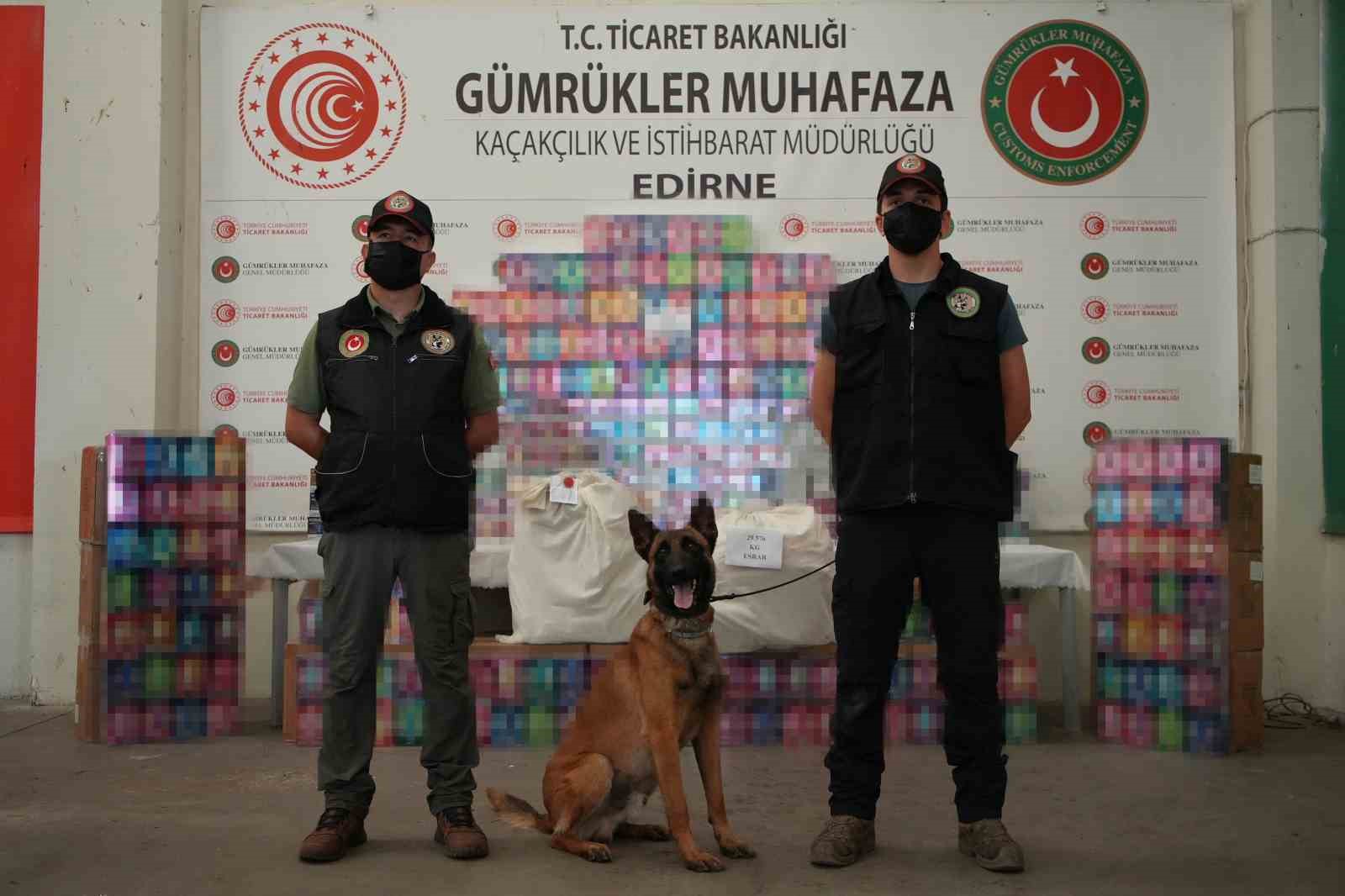 Kapıkule’de 20 bin elektronik sigara ve 29,5 kilogram uyuşturucu yakalandı