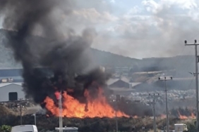 Bandırma OSB’de palet yangını: Ekipler faciayı önledi