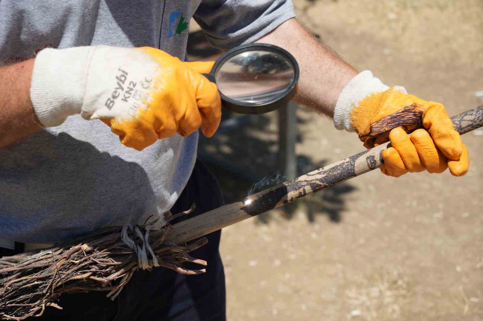 Temizlik işçisinin sıra dışı yeteneği: Güneşi kalem gibi kullanıyor