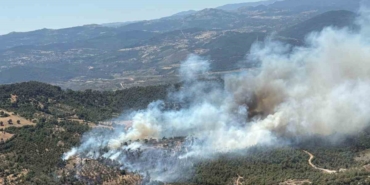 Balıkesir’de araziden ormana sıçrayan yangına müdahale sürüyor