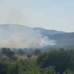 Balıkesir’de meralık alanda yangın