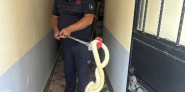 Gönen’de eve giren yılan paniğe neden oldu