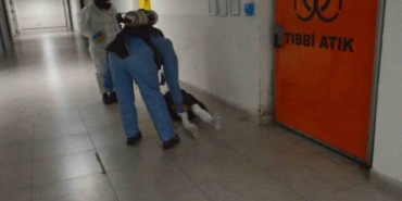 Bilecik’te ’Turuncu Kod’ tatbikatı gerçeği aratmadı