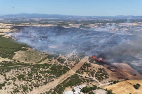 Ezine’deki yangında 287 futbol sahası büyüklüğünde alan zarar gördü