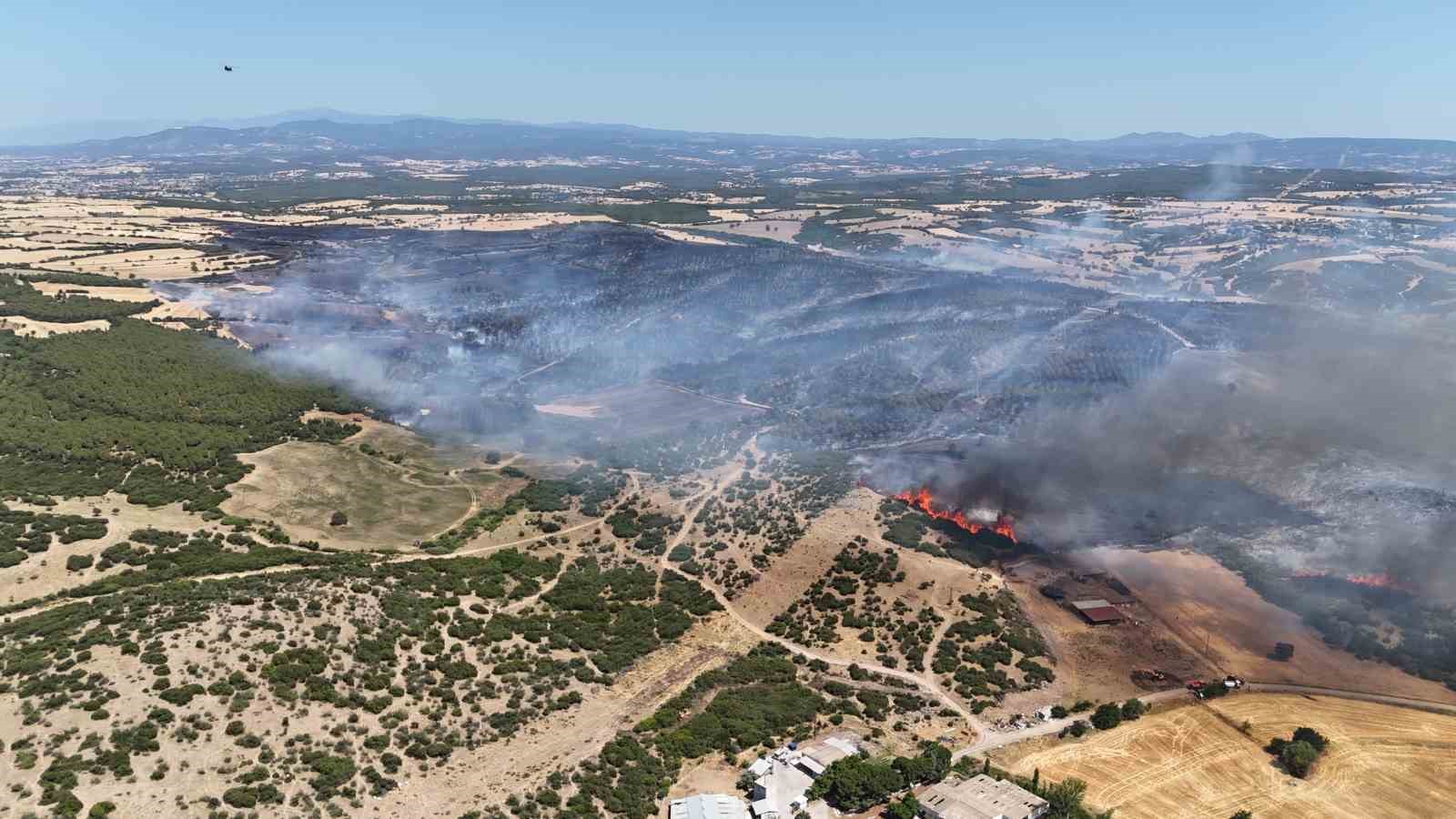 Ezine’deki yangında 287 futbol sahası büyüklüğünde alan zarar gördü