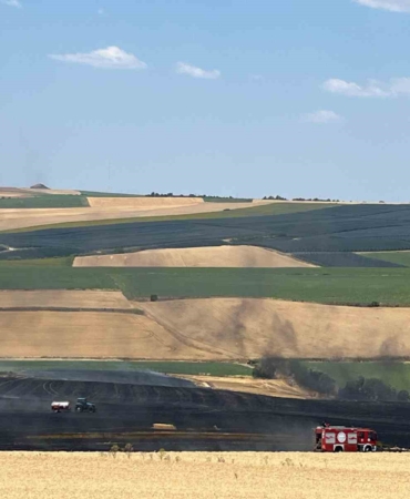 Tekirdağ’da 150 dönümde ekili buğday küle döndü