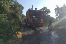 Bursa’da karga yangına neden oldu