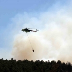 Sakarya’daki ormanlık alanda yangın: Havadan ve karadan müdahale ediliyor