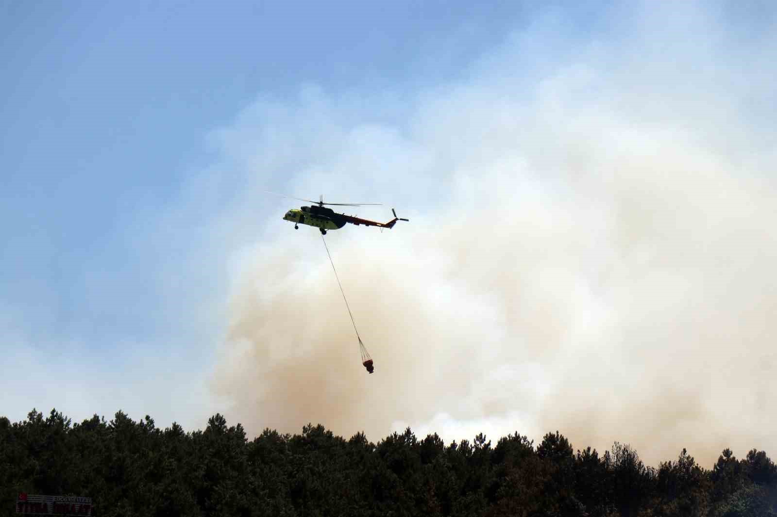 Sakarya’daki ormanlık alanda yangın: Havadan ve karadan müdahale ediliyor