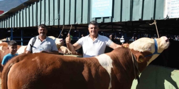 Yıldırım Kurban Bayramına hazır