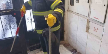Bilecik’te bir apartmana giren yılan itfaiye ekiplerince yakalandı