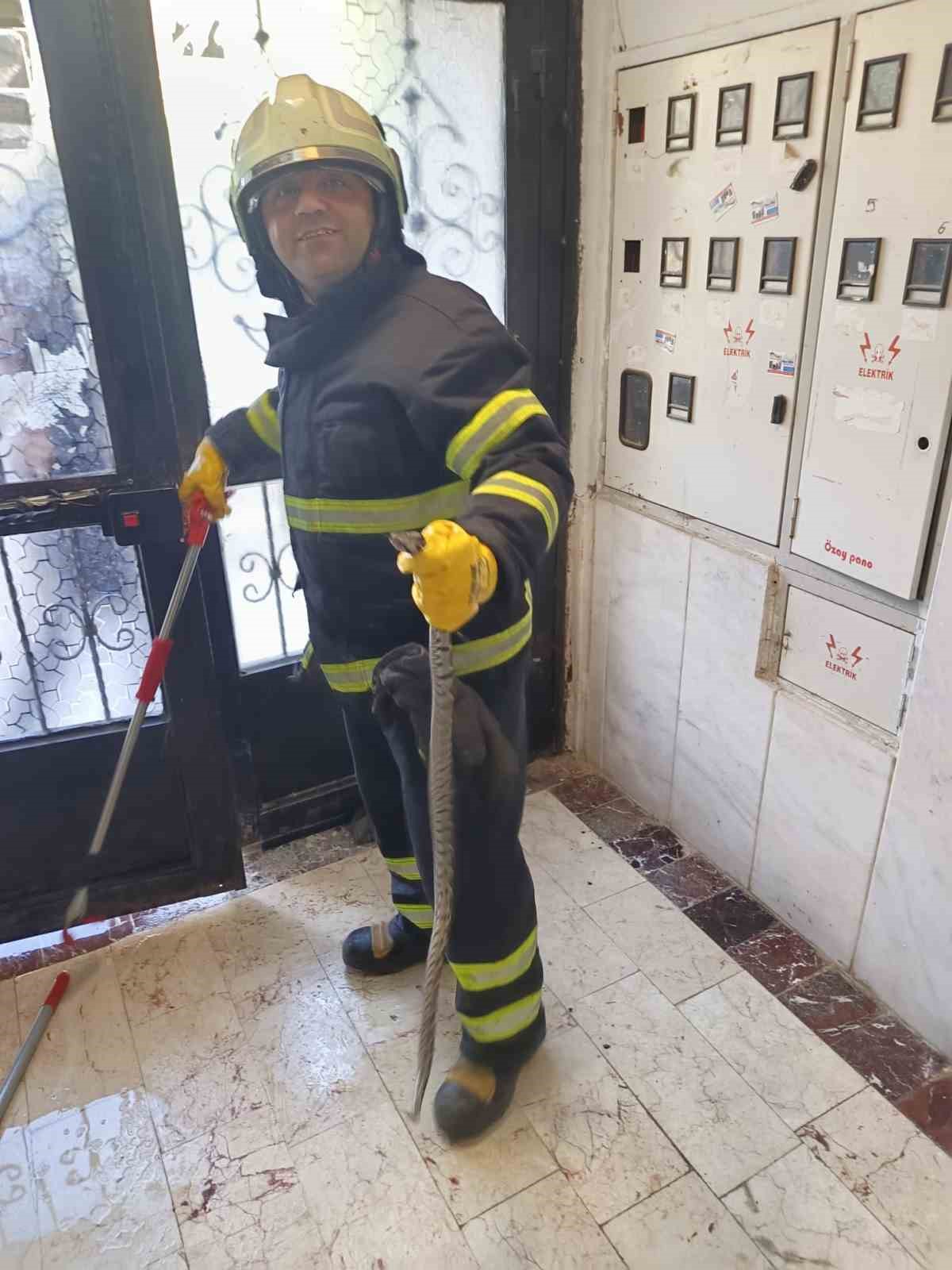 Bilecik’te bir apartmana giren yılan itfaiye ekiplerince yakalandı