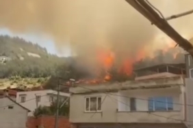 Bursa’da orman yangını kontrol altına alındı