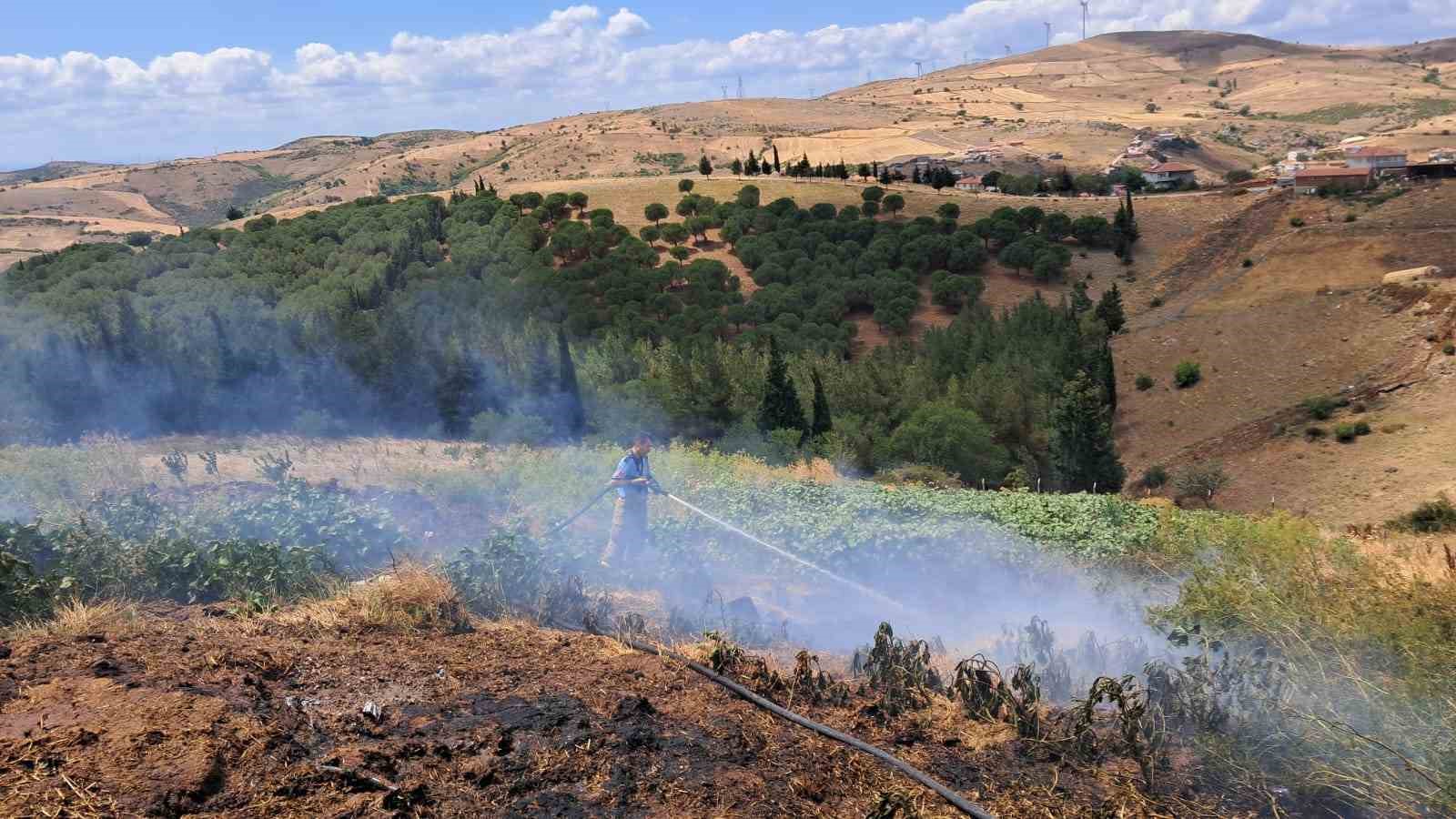 Balıkesir’in Altıeylül ilçesinde 2 arazi yangını