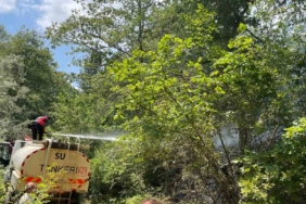 Koskoca tabiat parkı bir sigara izmariti yüzünden kül olacaktı