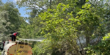 Koskoca tabiat parkı bir sigara izmariti yüzünden kül olacaktı