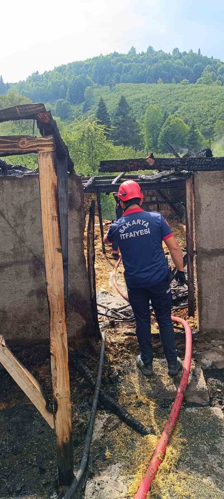 Sakarya’da samanlık ve ahırda çıkan yangında 24 civciv telef oldu