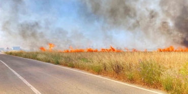 Tekirdağ’da 250 dönüm buğday yandı
