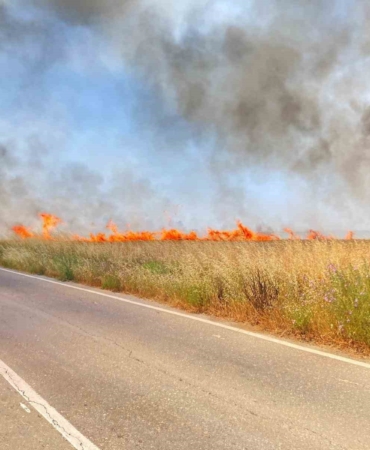 Tekirdağ’da 250 dönüm buğday yandı