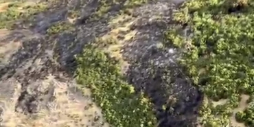 Kepsut’taki yangınla mücadele sürüyor