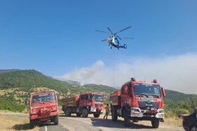 Balıkesir’de 11 orman ve arazi yangını meydana geldi