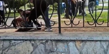 Başakşehir’de akran zorbalığı