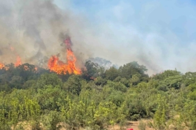 Bursa’da orman yangınlarının ardı arkası kesilmiyor