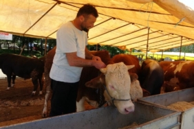 Ülke genelinde tüm hayvan pazarları kapatıldı